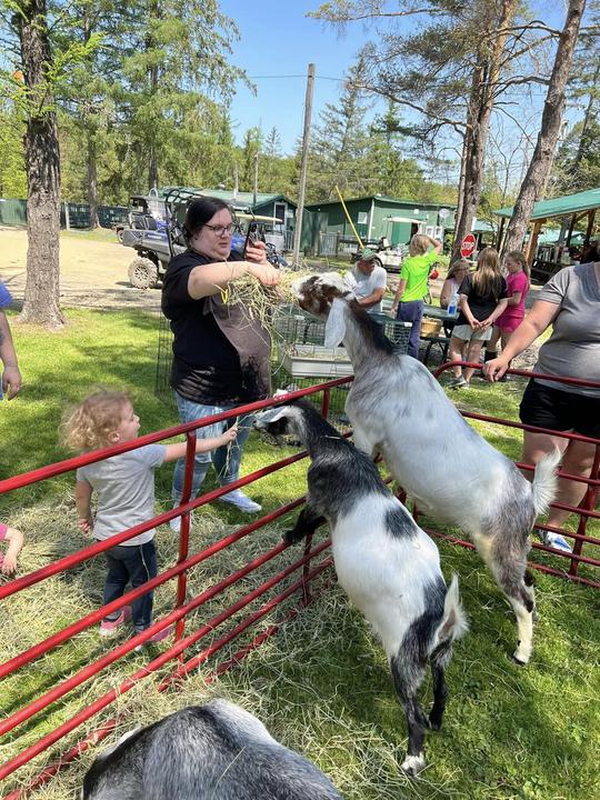 Kids feeding goats at the visiting petting zoo