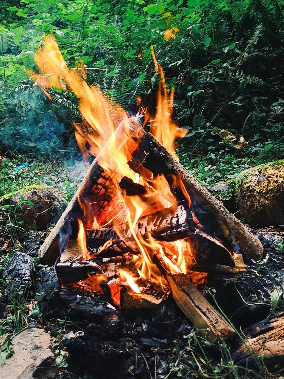 Campfire burning in the woods
